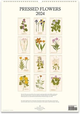Cavallini 2024 Calendar Wall Farmers Market 472154 in Saudi Arabia