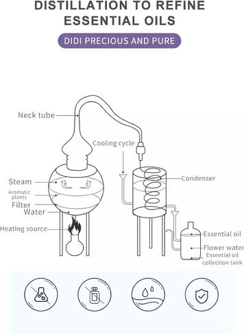 زيت عطري أساسي لآلة توزيع الروائح - استرخي مع العلاج العطري برائحة نظيفة (شانغريلا، 6.8 أونصة) in Kuwait