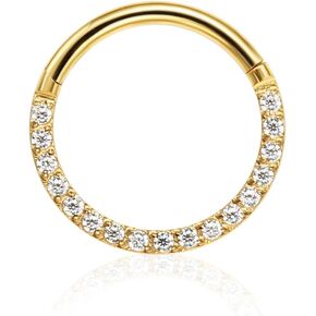 Hypoallergenic 18G/16G 8mm/10mm Silver/Gold G23 Titanium CZ Nose Rings Septum Hinged Segment Ring Helix Rook Tragus Lobe Snug Body Piercing Jewelry