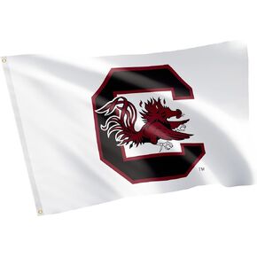 Desert Cactus University of South Carolina Flag Gamecocks USC Cocky Flag Banners 100% Polyester Indoor Outdoor 3x5 feet Flags (Design K)