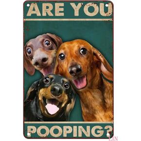 Funny Metal Signs Decor Dachshund Are You Pooping Restroom Bathroom Wall Decor Dog Lovers Gift Metal Signs Vintage Room Decor Aesthetic Wall Art Tin Sign for Garage Bathroom Living Room 8x12 inch