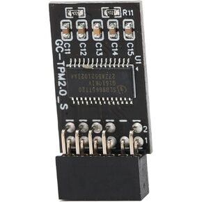 Windows 11 Motherboard Gigabyte Tpm 2.0 Pcb Tpm 2.0 Encryption Security Module for Gigabyte 12Pin Lpc Interface High Security Remote Card Encryption Security Module
