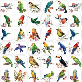 600 Pcs Bird Stickers for Kids Bird Photos Realistic Animals Stickers for Teacher Supplies Classroom Animals Theme Party Favor