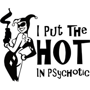 – I Put The Hot in Psychotic Sticker – Vinyl Hot Girl Decal for Laptop – Removable Waterproof Sticker for Waterbottle – Indoor and Outdoor – Easy use for Car, Van, and Bag – MAZ-331