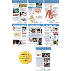 NewPath Learning - 96-6002 All About Opioid Drugs Bulletin Board Chart Set, 12 x 18 Inch, Set of 7