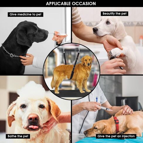 Yuehuam الكلب الاستمالة الأشرطة البطن، النايلون الكلب الاستمالة الحلقات تمديد حزام الحيوانات الأليفة الاستحمام ضبط النفس الفرقة مع D- حلقات الكلب حلقة لاستمالة الجدول الاستمالة الذراع الكلب الاستمالة الإمدادات in Kuwait