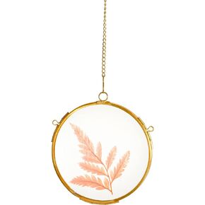 NCYP Small Double Glass Floating Frame for Pressed Dried Flowers, Plants Specimen, Photo, Picture - Diameter 4.3 Inches - Round Hanging Home Wall Decor, Gold (Glass Frame Only)