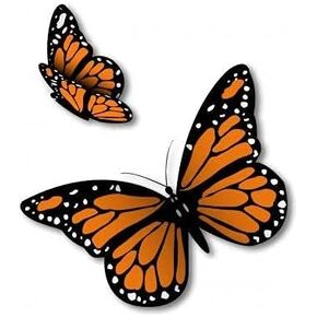 WSQ Monarch Butterflies Flying Set of 2 Vinyl Sticker Decal - 6x5 Inches - for Car Truck SUV Van Window Bumper Wall Laptop Tablet Cup Luggage and Any Smooth Surface