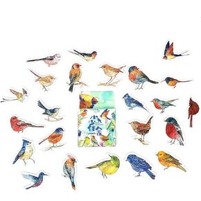 Bird Stickers for Scrapbooking(46pcs), Small Scrapbook Stickers Set, Journaling Bullet Junk Jounal Supplies, Planners, Kid DIY Art Crafts, Laptop, Suitcase