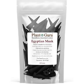 Egyptian Musk Charcoal Incense Cones 2" BACKFLOW - 60 Pack Bulk - Natural Scented Cones Handmade Hand Dipped