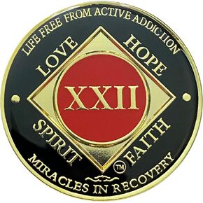NA 22 Year Gold Color Plated-Medallion, Narcotics Anonymous Coin