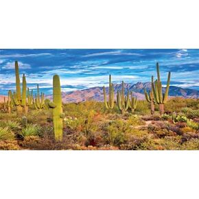 Reptile Habitat Background Rock Blue Sky Oasis Cactus Sunset Desert Terrarium Background 36X18IN with 8 EVA Double-Sided Tape
