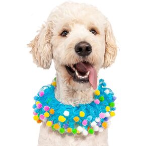Midlee Blue Birthday Pom Pom Dog Collar (X-Large)