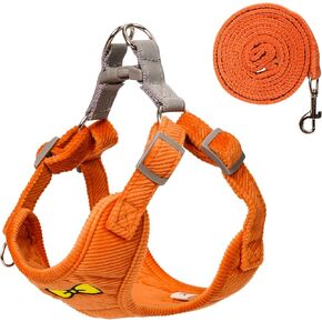 No Pull Dog Harness with Leash Pet Soft Vest Harness and Leash Set Dog Cat No Choke Escape Proof Harness Reflective Step in Harness for Small Medium Dogs Cats (Baby Blue, Small)