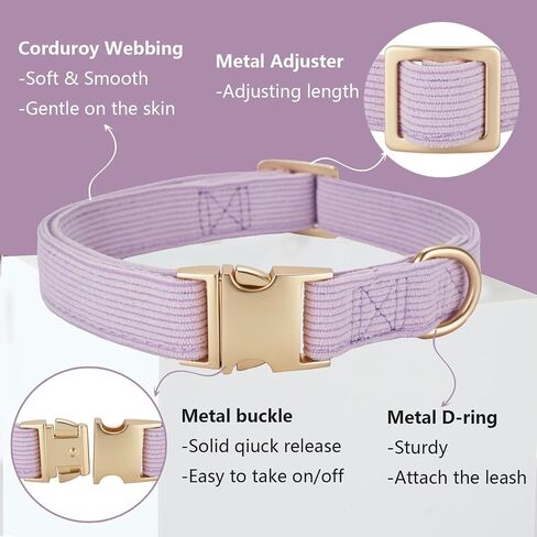 Soft Corduroy Dog Collar and Leash Set, Adjustable Cotton Dog Collars with Metal Buckle and Lead for Small Dogs,Beige in Saudi Arabia