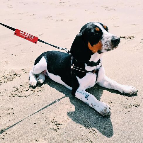 No Dogs I Like People 2 Set Funny Red and Black Dog Leash Sleeve Wrap -Hanging ID Patch Tag - Pet Birthday Gift - Gift for Dog Owner and Lover in Kuwait