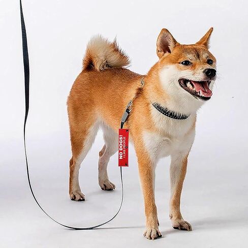 No Dogs I Like People 2 Set Funny Red and Black Dog Leash Sleeve Wrap -Hanging ID Patch Tag - Pet Birthday Gift - Gift for Dog Owner and Lover in Kuwait