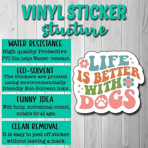 (3Pcs) If My Mouth Doesn't Say It My Face Definitely Will Sticker, Funny Motivational Vinyl Sayings Humorous Decal Decorate Laptop Phone Water Bottles Kindles Tumbler Waterproof Vinyl Sticker 3" Inch in Saudi Arabia