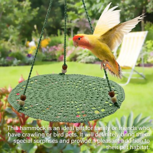 Reptile Hammock Swing Hanging Bed, Bearded Dragon Guinea Pig Rest Bed Habitats, Small Pet Habitat Shelter, Suitable for Geckos Lizards Chameleons Squirrels(PL2) in Saudi Arabia