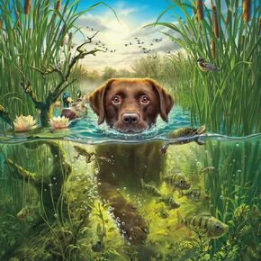 Ceaco - Mark Fredrickson - Chocolate Lab - 500 Piece Jigsaw Puzzle