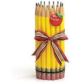 Burton and Burton Unique Pencil Shape Teachers Vase with Apple - Set of 2
