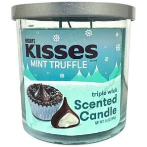 Large Triple Wick Scented Jar Candle 14 oz. with Lid - Fun Snack Cake, Holiday and Candy Scents (Chocolate Snack Cake)