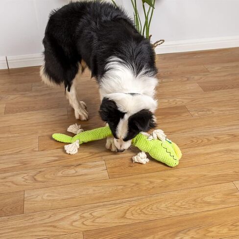 NP ألعاب الكلاب المحشوة ألعاب الجراء، ألعاب الكلاب السحلية التي تصدر صوت صرير من أجل الملل، لعبة الكلب التفاعلية لإطلاق الضغط للمضغ العدواني للألغاز ولعبة تدريب غريزة البحث عن الطعام (سحلية) in Kuwait