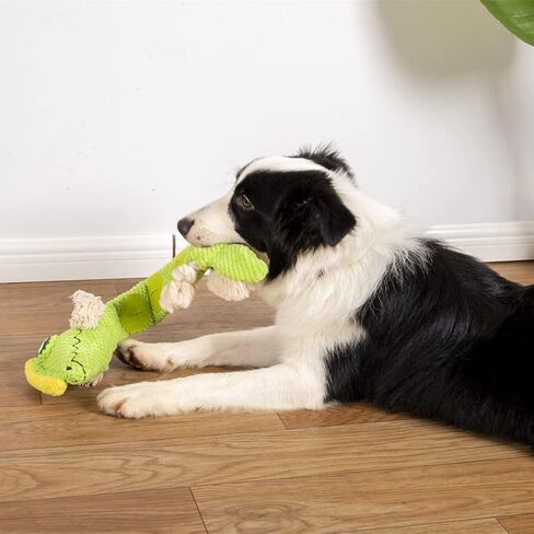 NP ألعاب الكلاب المحشوة ألعاب الجراء، ألعاب الكلاب السحلية التي تصدر صوت صرير من أجل الملل، لعبة الكلب التفاعلية لإطلاق الضغط للمضغ العدواني للألغاز ولعبة تدريب غريزة البحث عن الطعام (سحلية) in Kuwait