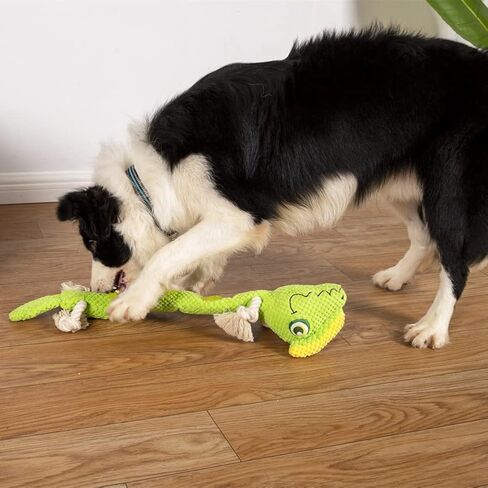 NP ألعاب الكلاب المحشوة ألعاب الجراء، ألعاب الكلاب السحلية التي تصدر صوت صرير من أجل الملل، لعبة الكلب التفاعلية لإطلاق الضغط للمضغ العدواني للألغاز ولعبة تدريب غريزة البحث عن الطعام (سحلية) in Kuwait