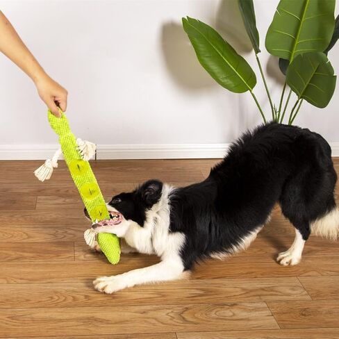 NP ألعاب الكلاب المحشوة ألعاب الجراء، ألعاب الكلاب السحلية التي تصدر صوت صرير من أجل الملل، لعبة الكلب التفاعلية لإطلاق الضغط للمضغ العدواني للألغاز ولعبة تدريب غريزة البحث عن الطعام (سحلية) in Kuwait