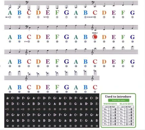 Piano Keyboard Stickers, 88/61/54/49/37 Keys, Bold Large Letters Piano Keyboard Labels, Removable, Multicolored, Keyboard Stickers for Beginners, Gift for Musician Friends, Teachers, Kids (Assorted) in Saudi Arabia
