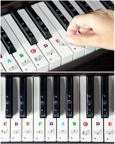 Piano Keyboard Stickers, 88/61/54/49/37 Keys, Bold Large Letters Piano Keyboard Labels, Removable, Multicolored, Keyboard Stickers for Beginners, Gift for Musician Friends, Teachers, Kids (Assorted) in Saudi Arabia