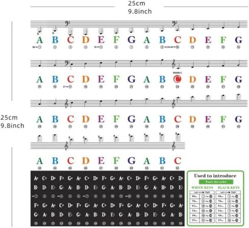 Piano Keyboard Stickers, 88/61/54/49/37 Keys, Bold Large Letters Piano Keyboard Labels, Removable, Multicolored, Keyboard Stickers for Beginners, Gift for Musician Friends, Teachers, Kids (Assorted) in Saudi Arabia