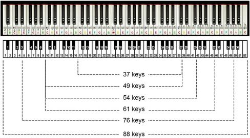 Piano Keyboard Stickers, 88/61/54/49/37 Keys, Bold Large Letters Piano Keyboard Labels, Removable, Multicolored, Keyboard Stickers for Beginners, Gift for Musician Friends, Teachers, Kids (Assorted) in Saudi Arabia
