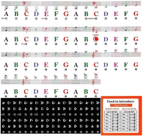 Piano Keyboard Stickers, 88/61/54/49/37 Keys, Bold Large Letters Piano Keyboard Labels, Removable, Multicolored, Keyboard Stickers for Beginners, Gift for Musician Friends, Teachers, Kids (Assorted) in Saudi Arabia