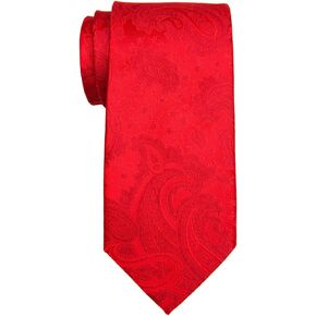 Retreez Men's Classic Paisley Textured Woven Microfiber 3.15" Tie Necktie