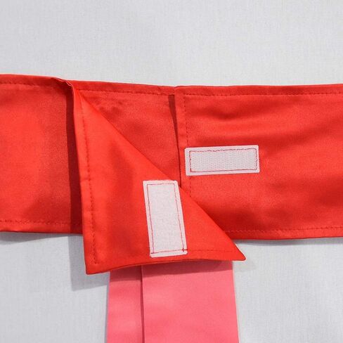 أزياء Ubeufun Mullan للفتيات، أزياء الأميرة المحاربة، أزياء الهالوين لشخصية الفيلم، فستان تنكري للحفلات in Kuwait