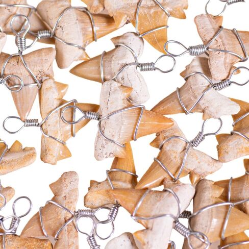 BlueRica Fossil Shark Tooth on Coconut Beads Necklace (20" 3S) in Saudi Arabia