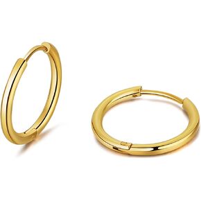 Small Hoop Earrings Surgical Steel Tiny Hoop Earrings Set for Women Men Cartilage Helix Lobes Hinged Sleeper Earrings Hoop - Nose Ring Septum Ring Helix Ring Daith Ring Lip Ring Nipple Ring Snug Ring Rook Ring Body Piercing Jewelry 20G 8/10/12mm