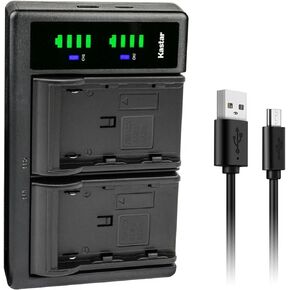Kastar 2-Pack Battery and LTD2 USB Charger Replacement for Canon ES8100V, ES8200V, ES8400V, ES8600, G10, G10Hi, G15Hi, G20Hi, G30Hi, G35Hi, G45Hi, G1000, G1500, G2000, GL1 GL-1 DM-GL1, GL2 GL-2 DM-GL2