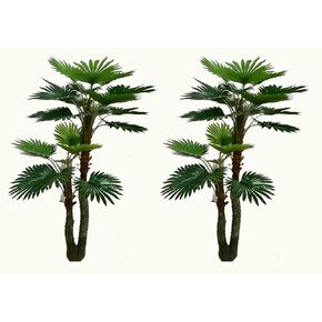 زوج من أشجار الحرير الصناعية المصنوعة من النخيل بمروحة استوائية بطول 6 أقدام من أمريكا، جودة فائقة، أخضر in Kuwait