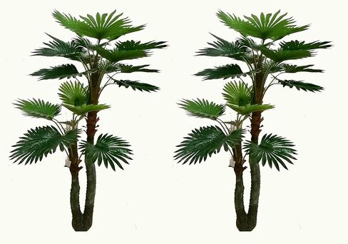 زوج من أشجار الحرير الصناعية المصنوعة من النخيل بمروحة استوائية بطول 6 أقدام من أمريكا، جودة فائقة، أخضر in Kuwait