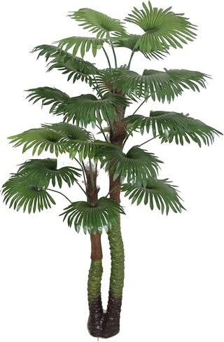 زوج من أشجار الحرير الصناعية المصنوعة من النخيل بمروحة استوائية بطول 6 أقدام من أمريكا، جودة فائقة، أخضر in Kuwait
