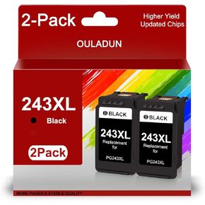 PG-243XL Black Ink Cartridges Combo Pack Replacement for Canon PG-243 243XL 243 2 Pack for Pixma MX490 MX492 TR4520 TS3322 TR4522 TS3122 MG2922 MG2520 MG2522 Printers （2 Black）