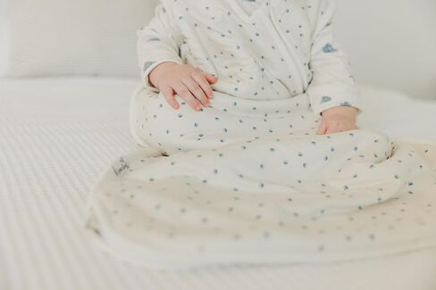 Copper Pearl Sleep Sack: Warm and Cozy Baby Bag in a Variety of Trendy Designs, Safe Alternative to Blankets, Sleeveless Baby Sleep Sack Swaddle Sizes Newborn to 24 Months - Alps in Saudi Arabia