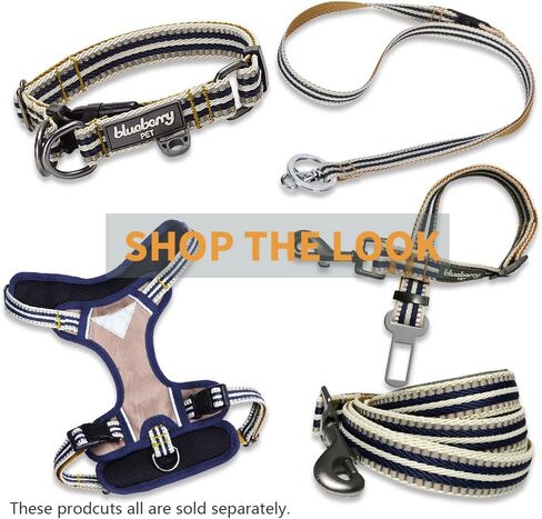 Blueberry Pet 4 Colors 3M Reflective Multi-Colored Stripe Martingale Safety Training Dog Collar, Violet and River Blue, Medium, Heavy Duty Adjustable Collars for Dogs in Saudi Arabia