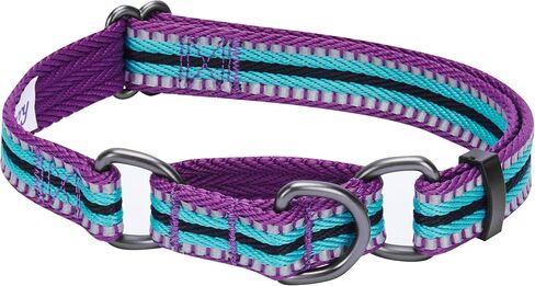 Blueberry Pet 4 Colors 3M Reflective Multi-Colored Stripe Martingale Safety Training Dog Collar, Violet and River Blue, Medium, Heavy Duty Adjustable Collars for Dogs in Saudi Arabia