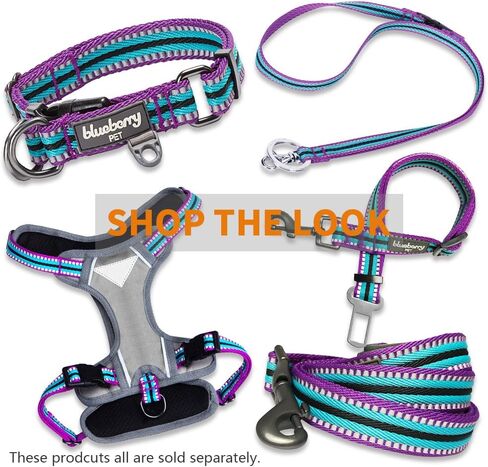 Blueberry Pet 4 Colors 3M Reflective Multi-Colored Stripe Martingale Safety Training Dog Collar, Violet and River Blue, Medium, Heavy Duty Adjustable Collars for Dogs in Saudi Arabia