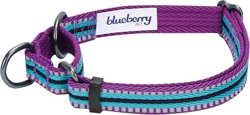 Blueberry Pet 4 Colors 3M Reflective Multi-Colored Stripe Martingale Safety Training Dog Collar, Violet and River Blue, Medium, Heavy Duty Adjustable Collars for Dogs in Saudi Arabia