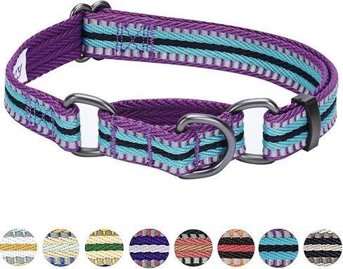 Blueberry Pet 4 Colors 3M Reflective Multi-Colored Stripe Martingale Safety Training Dog Collar, Violet and River Blue, Medium, Heavy Duty Adjustable Collars for Dogs in Saudi Arabia